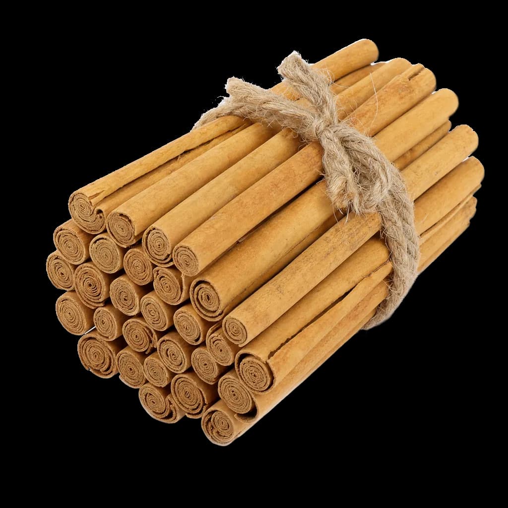 Bundle of Ceylon cinnamon quills tied with jute twine